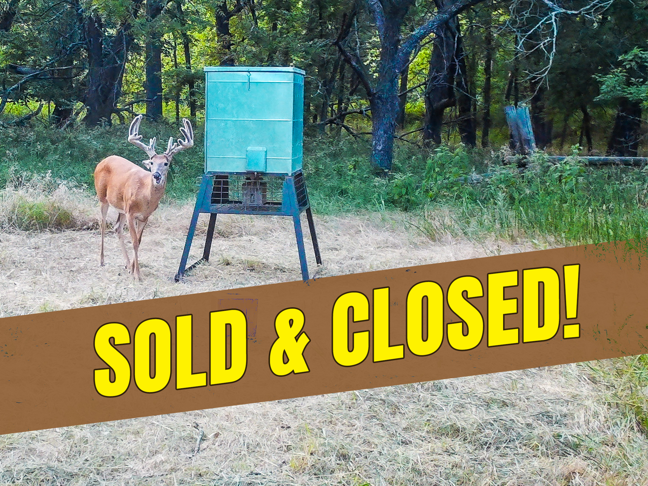 27.6 Acres in Butler County Sold at Kansas Land Auction for $303,300