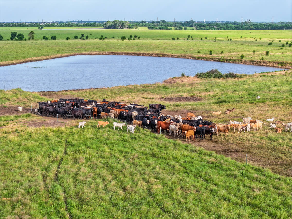 321 Acres Cattle Pasture in Butler County Kansas – For Sale