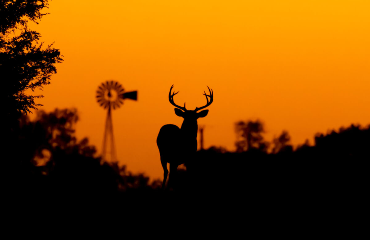 How to Find the Best Hunting Land for Sale in Kansas