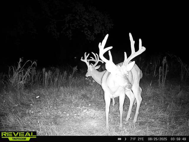 Hunting Land for Sale in Kansas – Auction September 26, 2025